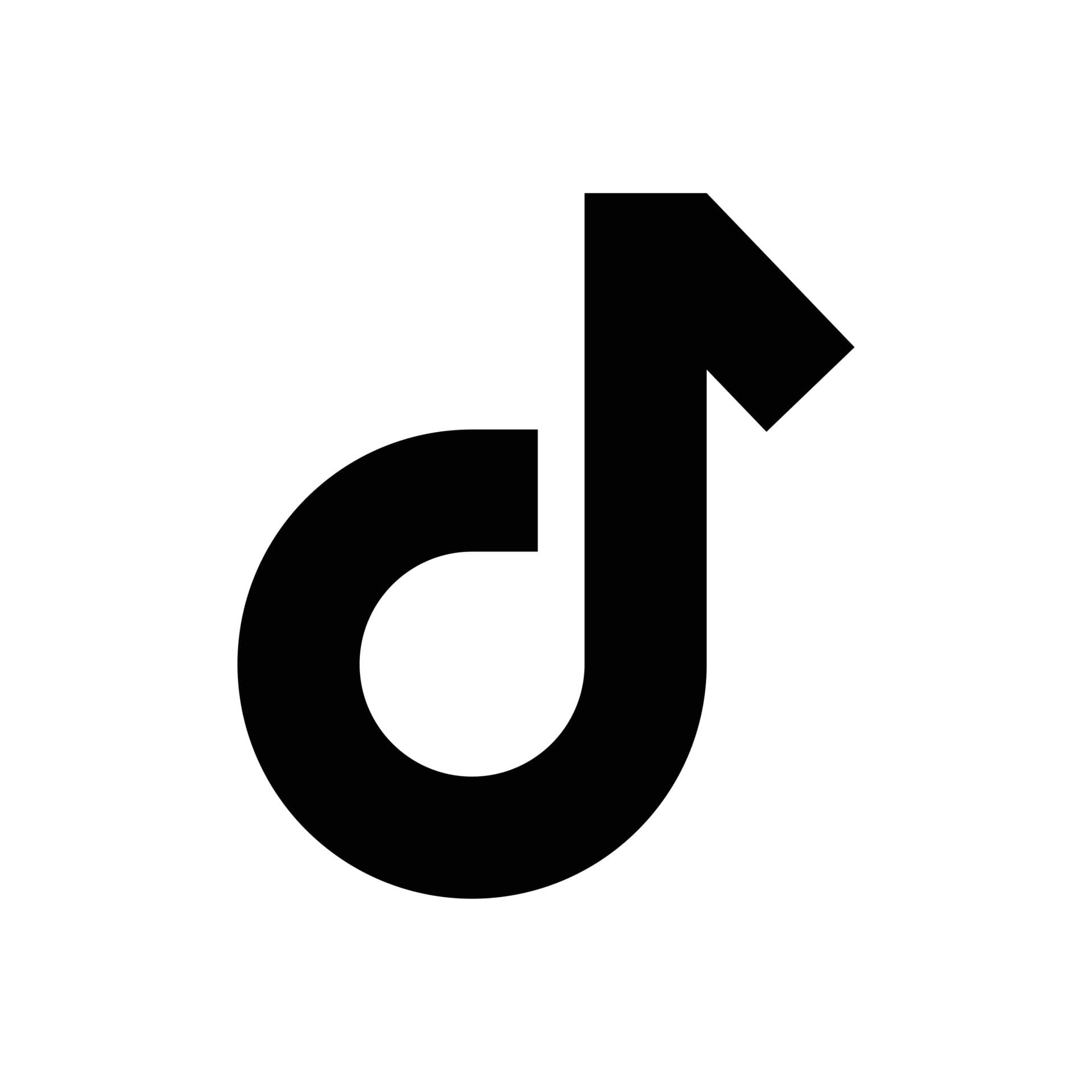 TikTok Icon